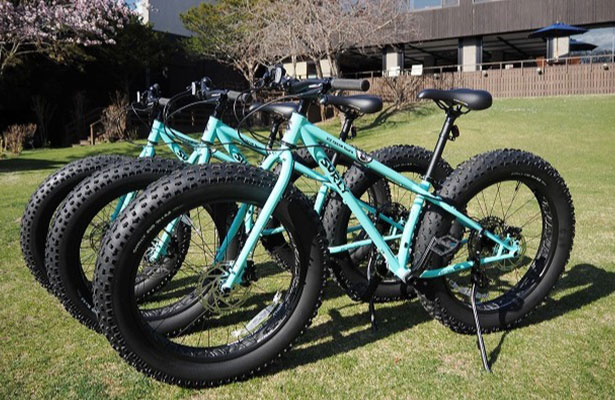 電動アシスト付き自転車