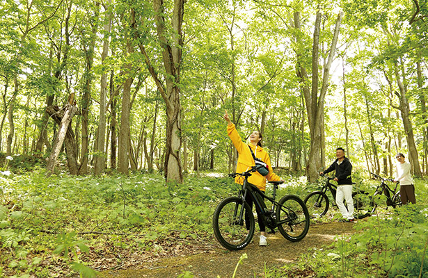 支笏湖の森プライベートツーリング