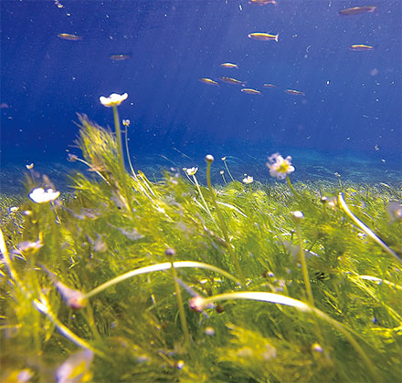 支笏湖水上户外体验