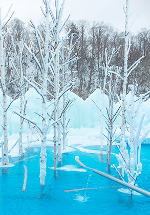 千岁・支笏湖冰涛节 Chitose Lake Shikotsu Ice Festival