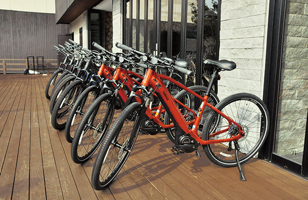 Rental e-bikes and fat bikes