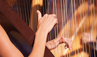 Harp Concert