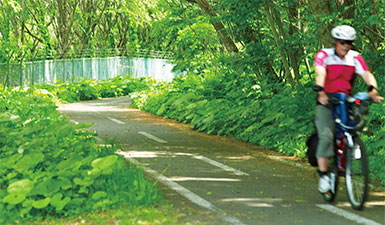 Enjoy Lake Shikotsu and the forest