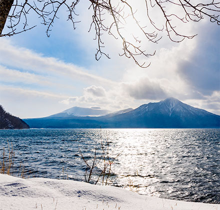 Stroll through the winter forest to enjoy the cold winter