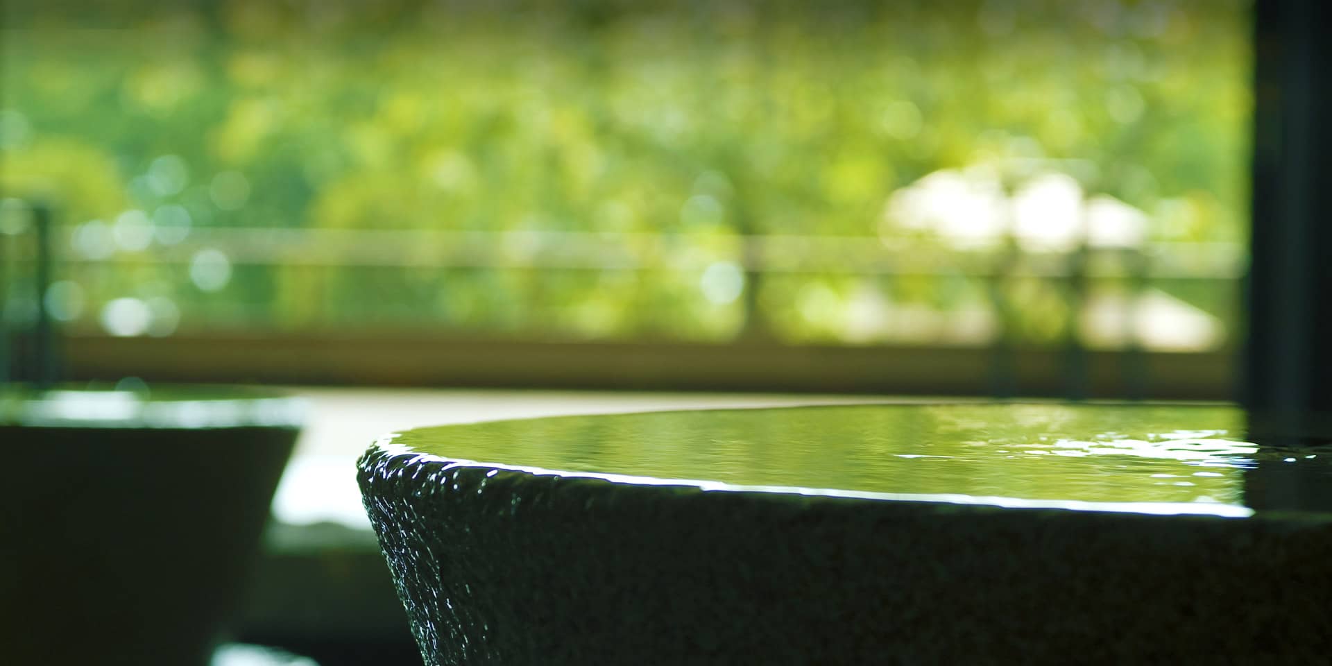 森の声に魅せられる