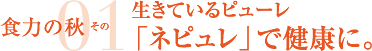 食力の秋/生きているピューレ、ネピュレで健康に