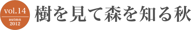 樹を見て森を知る秋