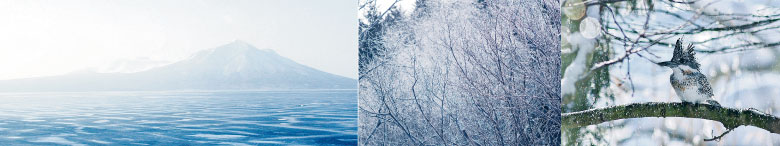 冬の支笏湖の自然