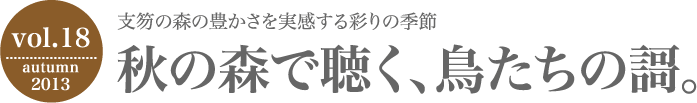 支笏の森の豊かさを実感する彩りの季節 秋の森で聴く、鳥たちの謌。