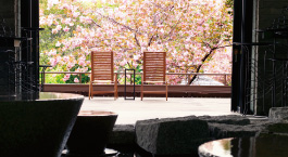 中庭の桜