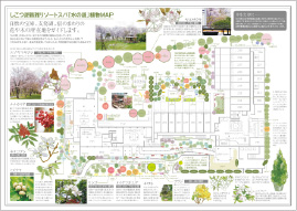 「水の謌」植物ＭＡＰ